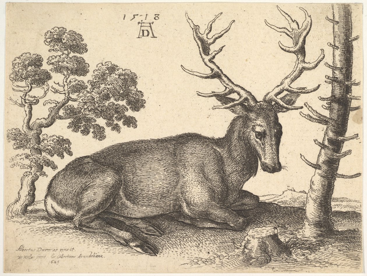Hirvi makaa oikealla, 1649. tekijältä Wenceslaus Hollar