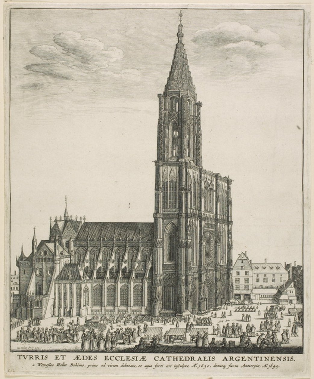 Strasbourgin katedraali tekijältä Wenceslaus Hollar
