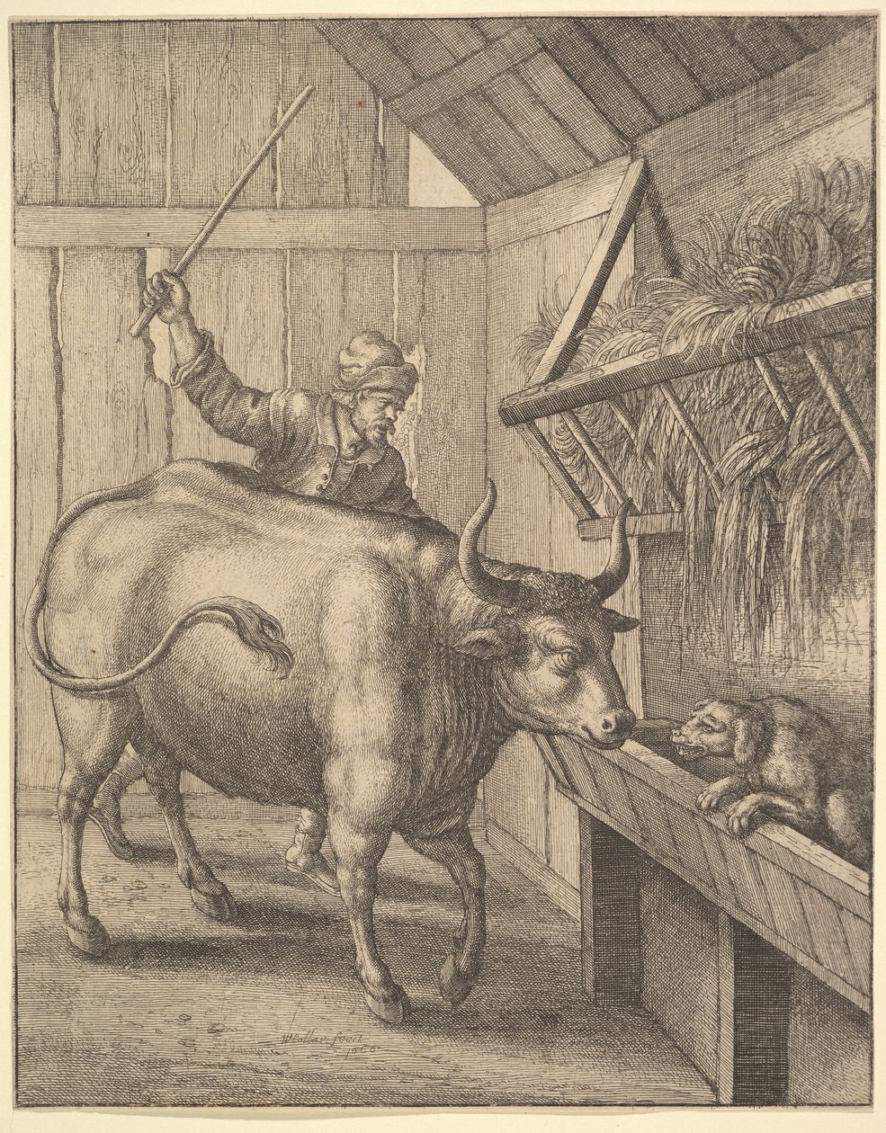 Koira seimessä kuvista John Ogilbys Æsopics: Or A Second Collection..., 1666. tekijältä Wenceslaus Hollar