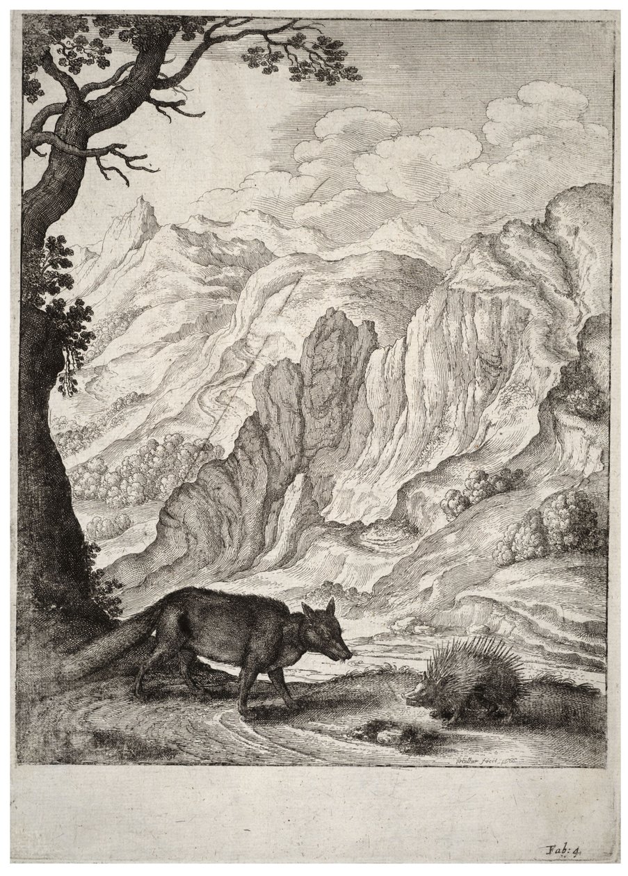 Kettu ja piikkisika. Valtio 2 tekijältä Wenceslaus Hollar