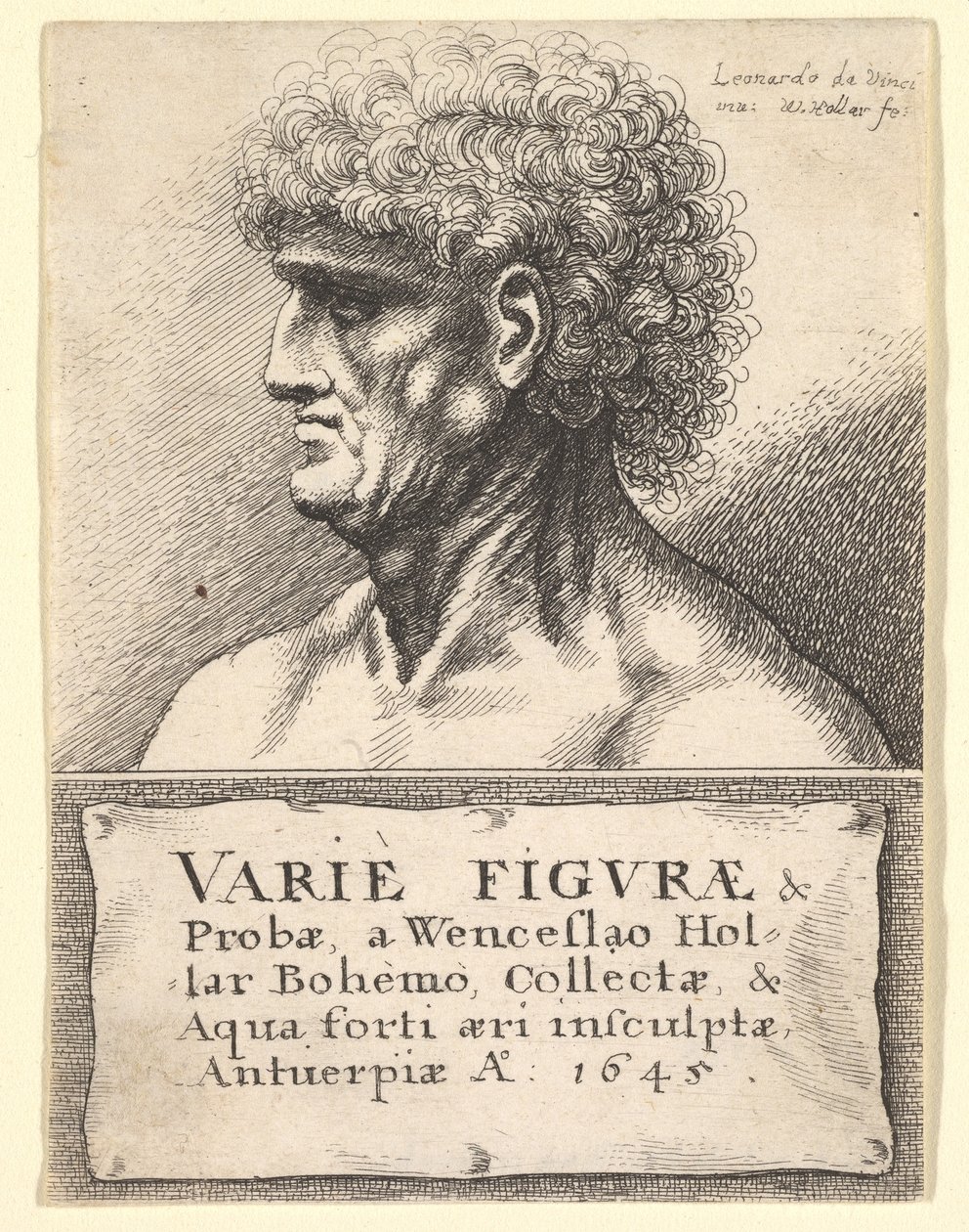 Variety of Figures & Probes -julkaisun otsikkosivu, 1645 tekijältä Wenceslaus Hollar
