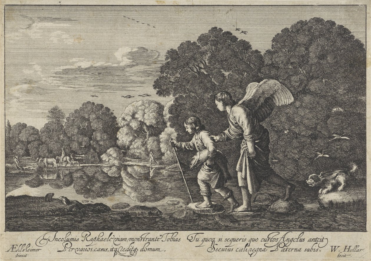 Tobias enkelissä tekijältä Wenceslaus Hollar