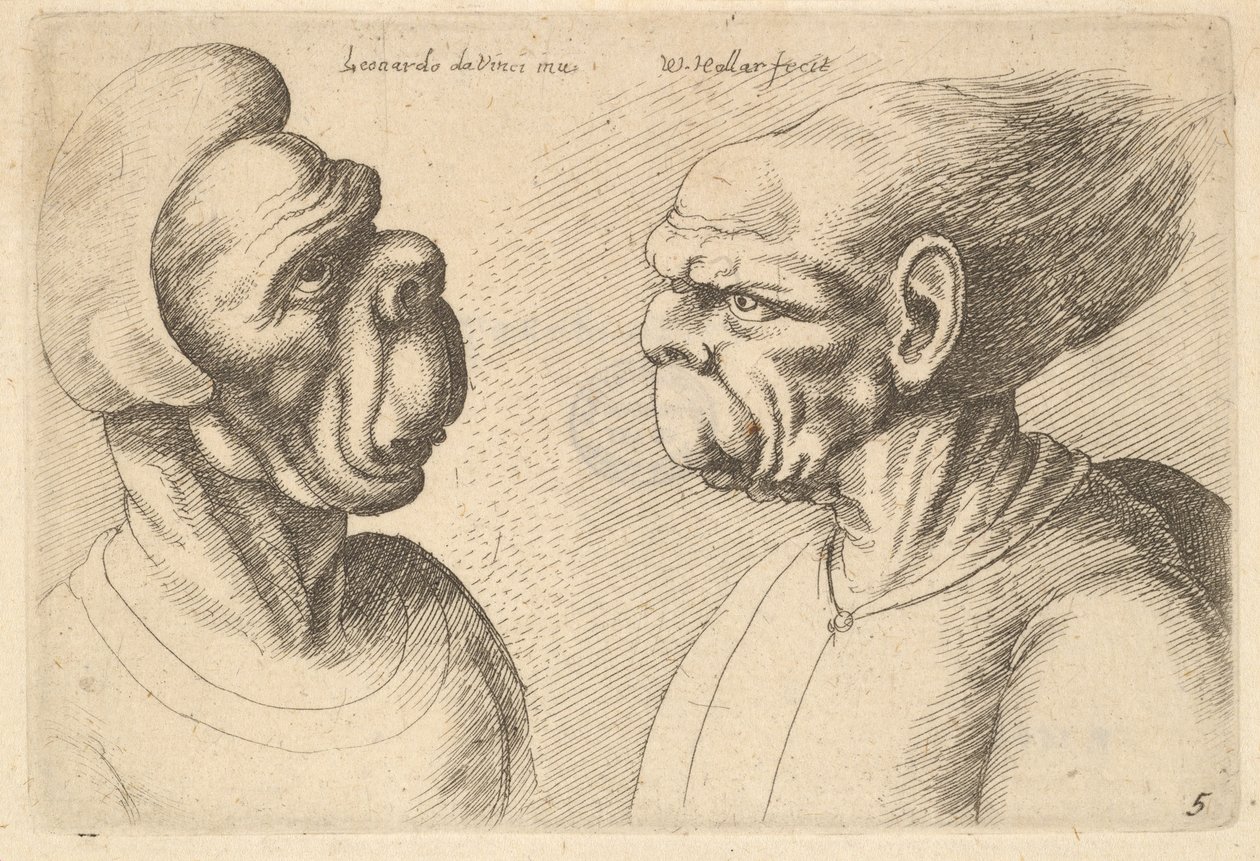 Kaksi vääntynyttä päätä sisäänpäin, 1625-77. tekijältä Wenceslaus Hollar