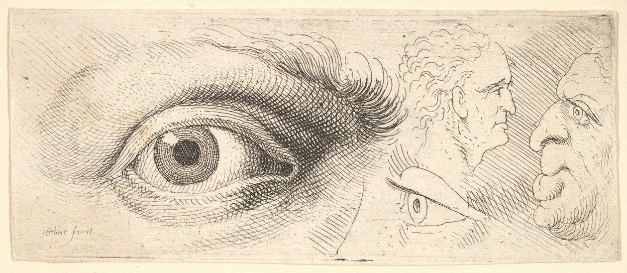 Kaksi silmää ja kaksi päätä, 1644-52. tekijältä Wenceslaus Hollar