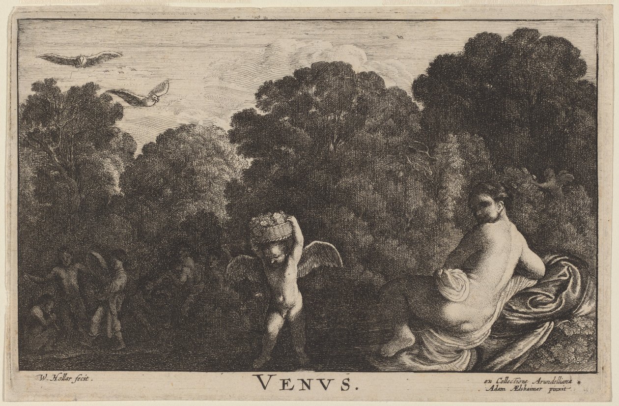 Venus tekijältä Wenceslaus Hollar
