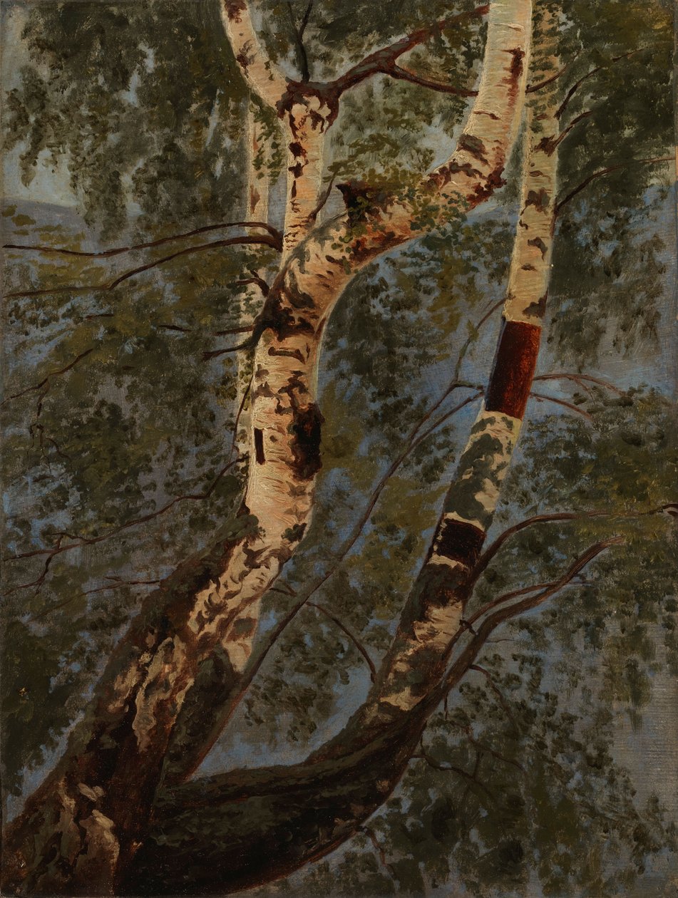 Nimetön tekijältä Werner Holmberg