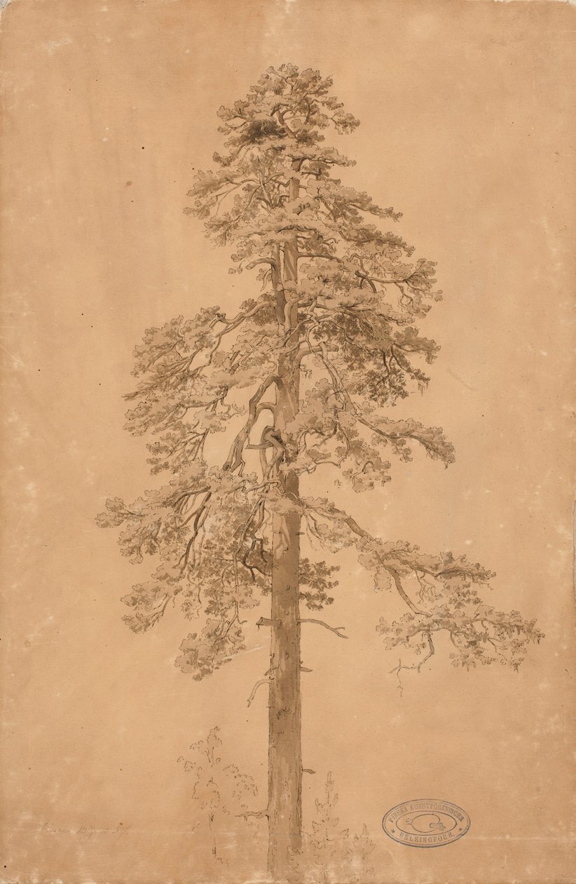 Nimetön tekijältä Werner Holmberg