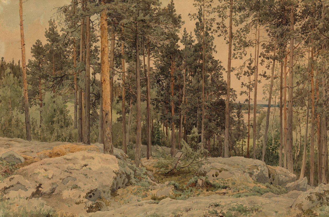 Nimetön tekijältä Werner Holmberg