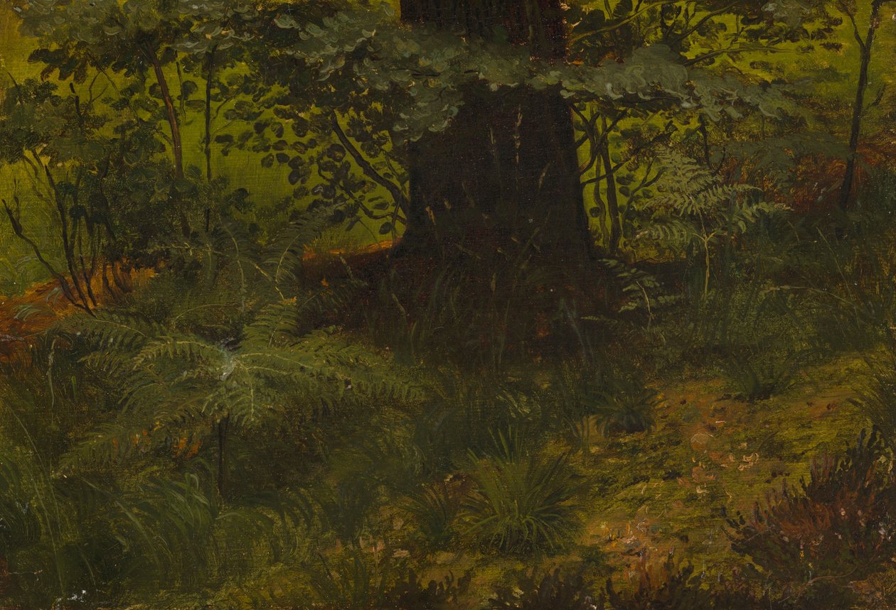 Nimetön tekijältä Werner Holmberg