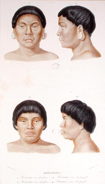 Antropometrinen tutkimus kahdesta Botocudos-intiaanista, kaiverrus Fournier, 1800-luvun puoliväli (väri litho) tekijältä Werner Werner