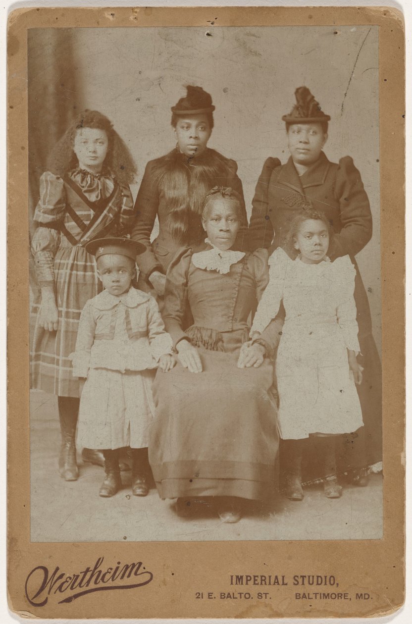 Perheen muotokuva,c. 1895 (kuva) tekijältä Wertheim Imperial Studio