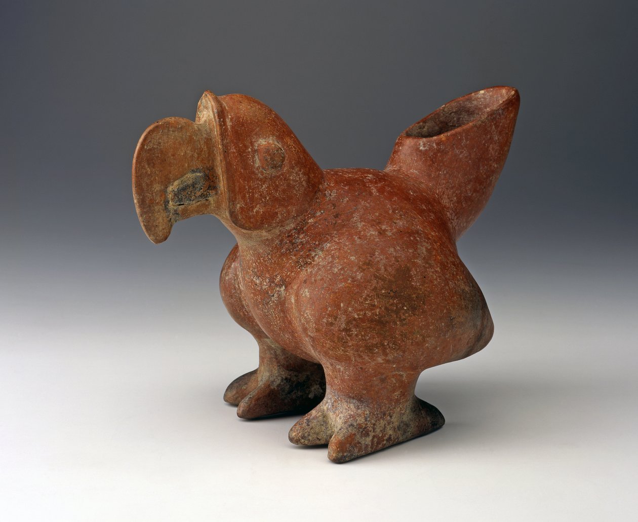 Parrot Effigy Vessel, noin 200 eKr. - 300 eKr. (keramiikka punaisella liukumaalilla) tekijältä West Mexican