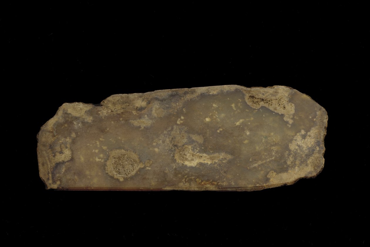 Fragmentti seremoniaalisesta aseesta (jade (nefriitti)) tekijältä Western Zhou Dynasty Chinese School