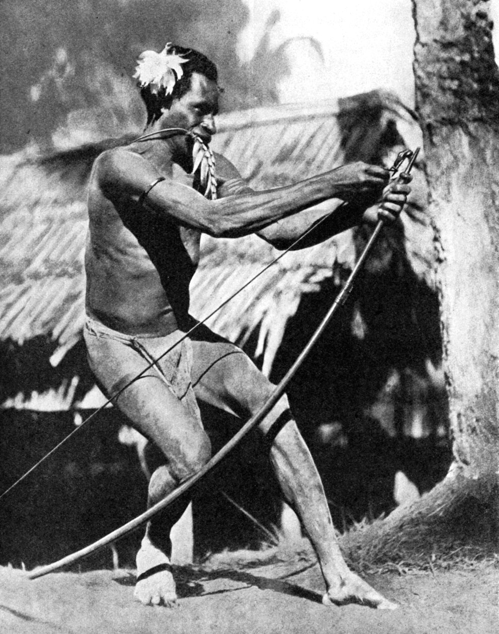 Metsästäjä, joka kielee jousiaan, 1936. tekijältä Wide World Photos