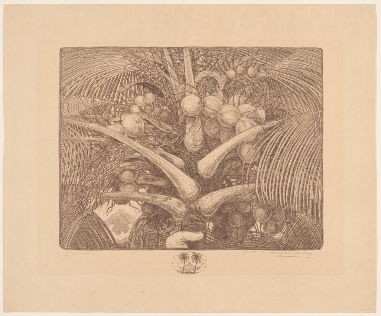 Kookospuun latva Tropenweelde (alkuperäinen nimi esineessä) tekijältä Wijnand Otto Jan Nieuwenkamp (signed by artist)