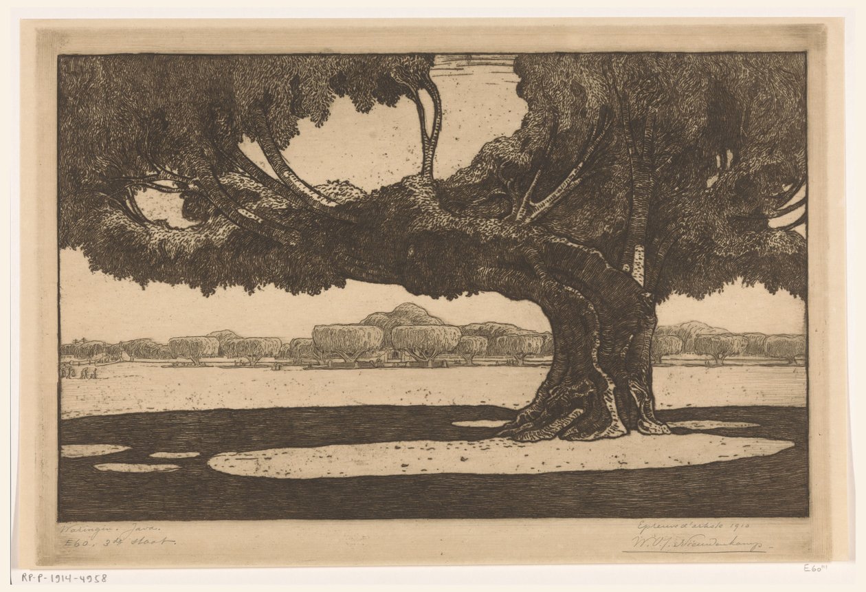 Waringin-puut sulttaanin palatsin puutarhassa Jogyakartassa The Big Tree (alkuperäinen nimi) tekijältä Wijnand Otto Jan Nieuwenkamp (signed by artist)