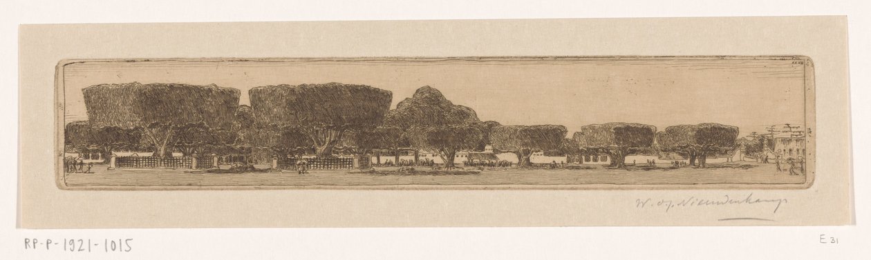 Waringin-puut sulttaanin palatsin puutarhassa Jogyakartassa Jogjakartan aukio (alkuperäinen nimi) tekijältä Wijnand Otto Jan Nieuwenkamp (signed by artist)