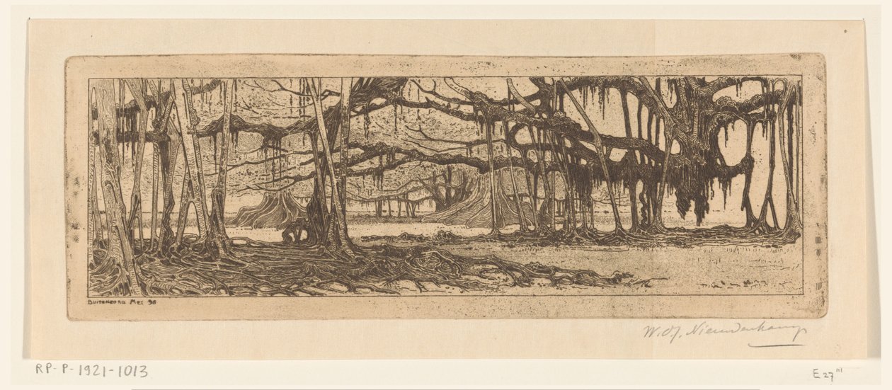 Waringin-puut puutarhassa Buitenzorgissa Buitenzorgin puutarhassa (alkuperäinen nimi) tekijältä Wijnand Otto Jan Nieuwenkamp (signed by artist)