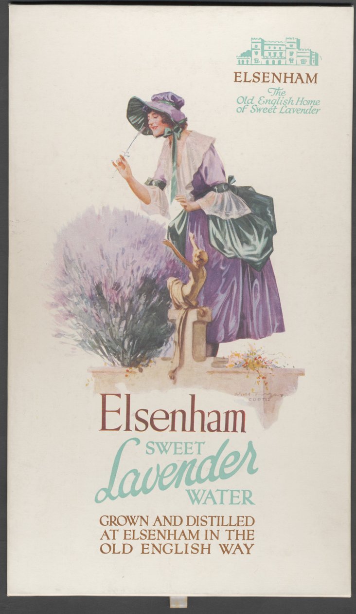 Elsenham Lavender, 1920-luku tekijältä Wilfred Fryer