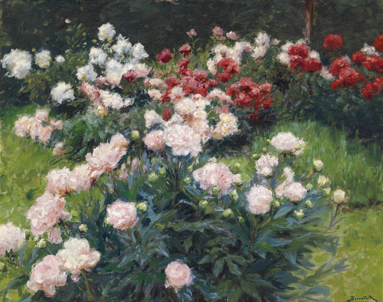 Pfingstrosen tekijältä Wilhelm Bernatzik