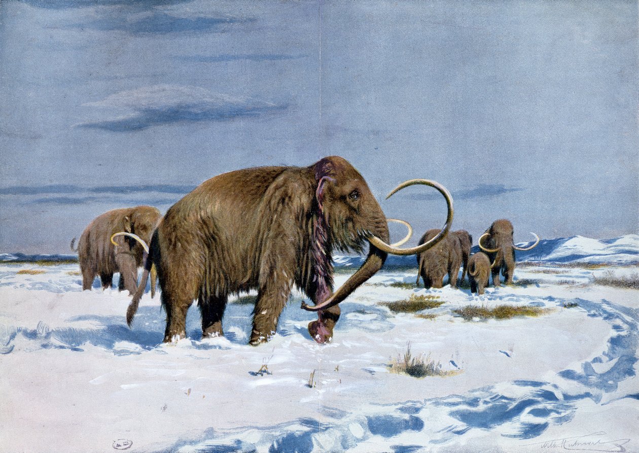 Mammuttijoukko jääkaudella tekijältä Wilhelm Kuhnert