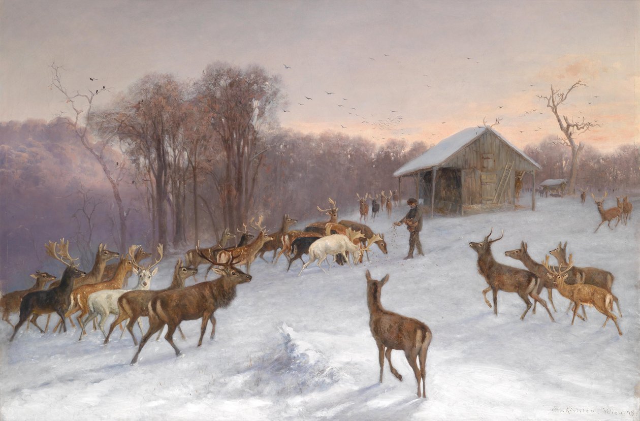 Metsäpeuran ja metsäkauriin ruokinta talvella tekijältä Wilhelm Richter