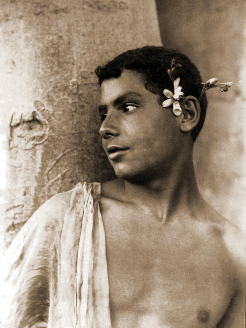 Tutkimus pojasta, jolla on kukkia hiuksissaan, Napoli, n. 1899 (seepiakuva) tekijältä Baron Wilhelm von Gloeden