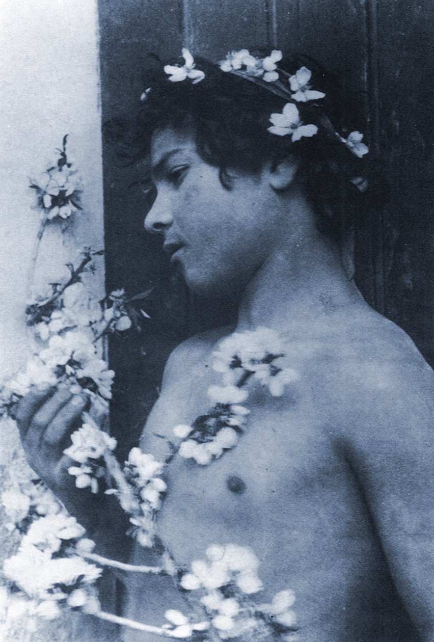 Tutkimus nuoresta pojasta kukkia hiuksissaan, n. 1899 (syanotypia) tekijältä Baron Wilhelm von Gloeden