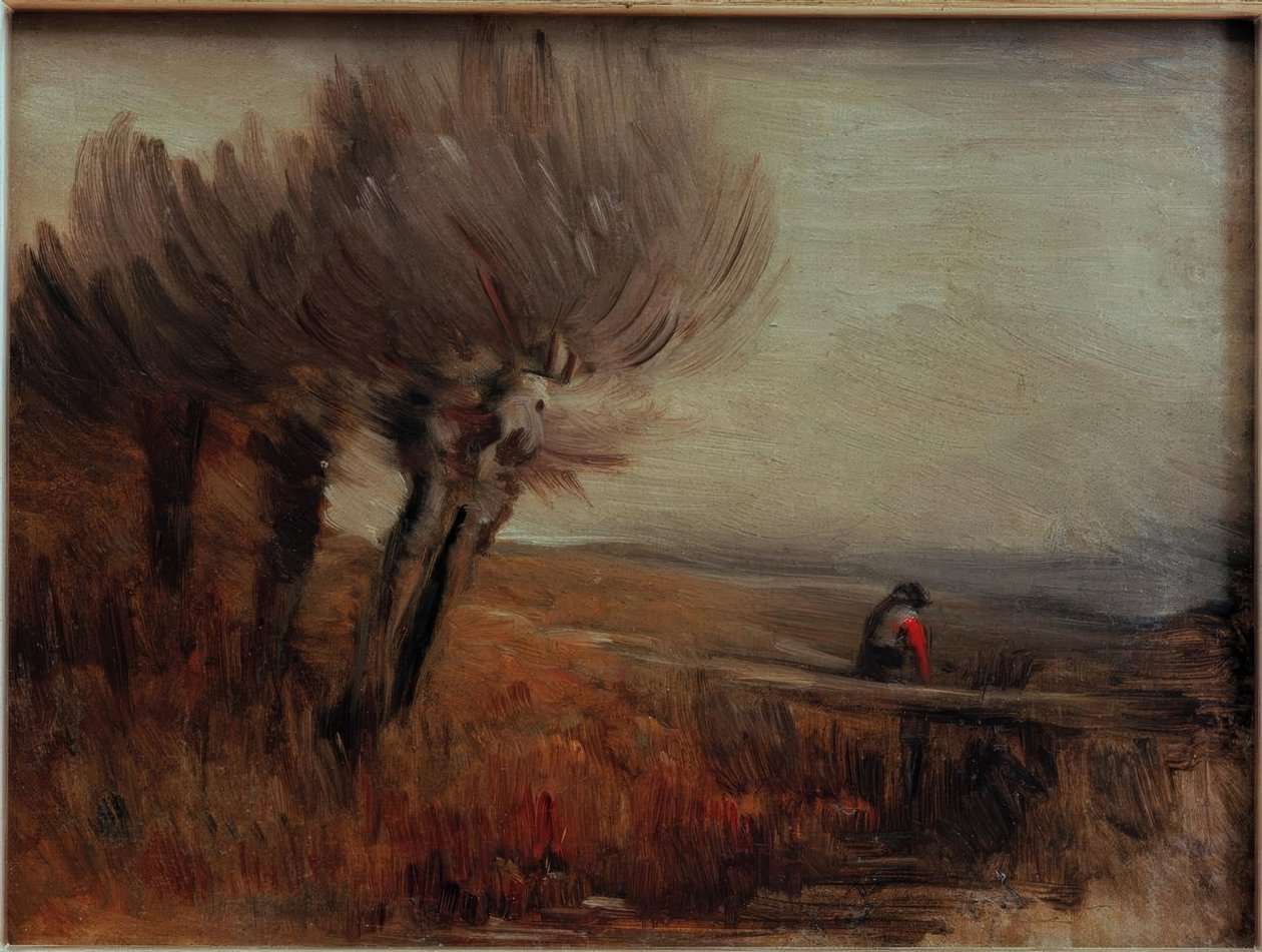 Flachlandschaft mit drei Kopfweiden tekijältä Wilhelm Busch