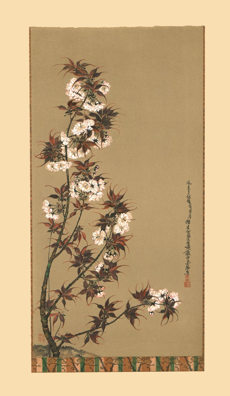 Mikawan kirsikankukat, 1800-luku, 1886 tekijältä Wilhelm Greve
