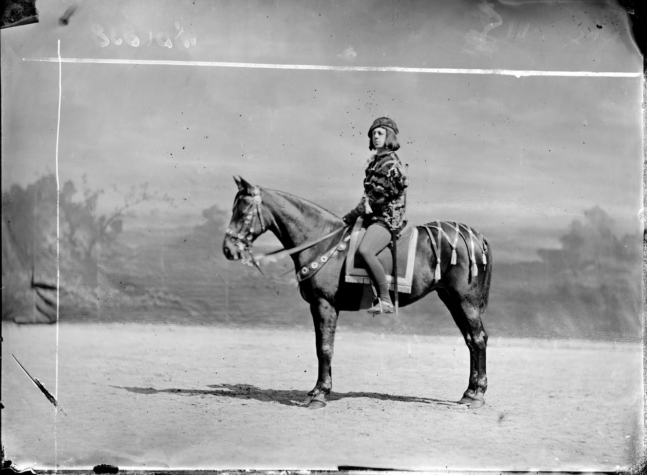 Tuntematon aristokraatti tekijältä Wilhelm J. Burger