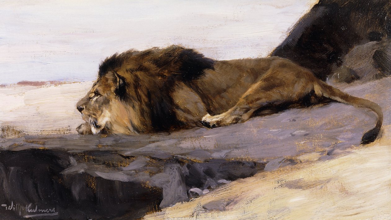 lepäävä leijona; Ruhender Lowe, tekijältä Wilhelm Kuhnert