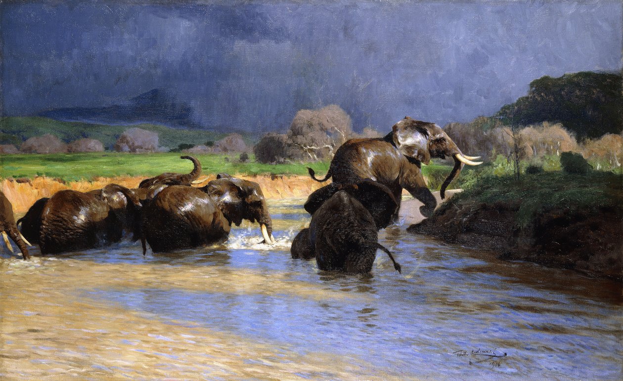 Elefanttien uiminen; Uivia norsuja, 1908 tekijältä Wilhelm Kuhnert