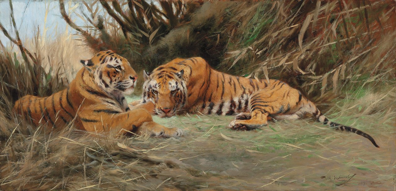 Tigers at Dawn, 1913 tekijältä Wilhelm Kuhnert