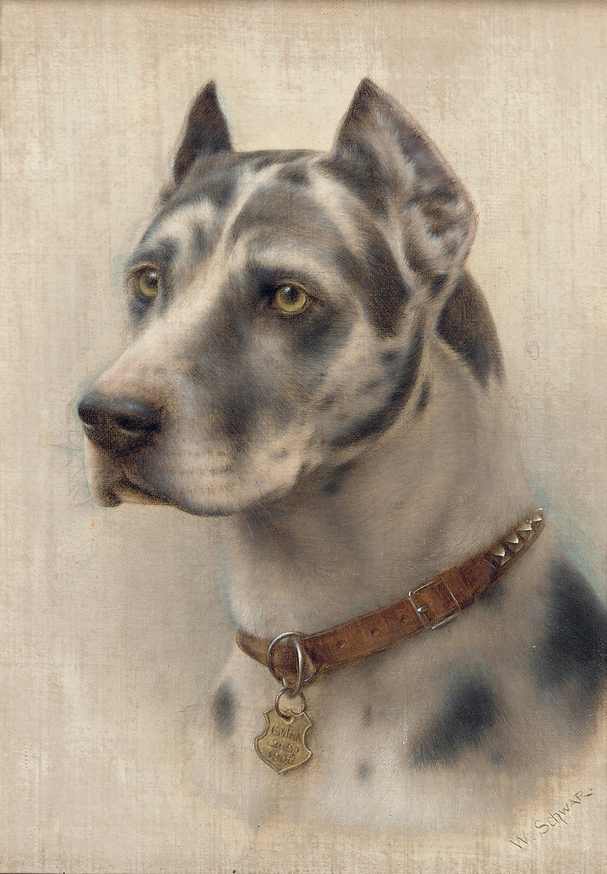 Dobermanin pää (öljy kankaalle) tekijältä Wilhelm Schwar