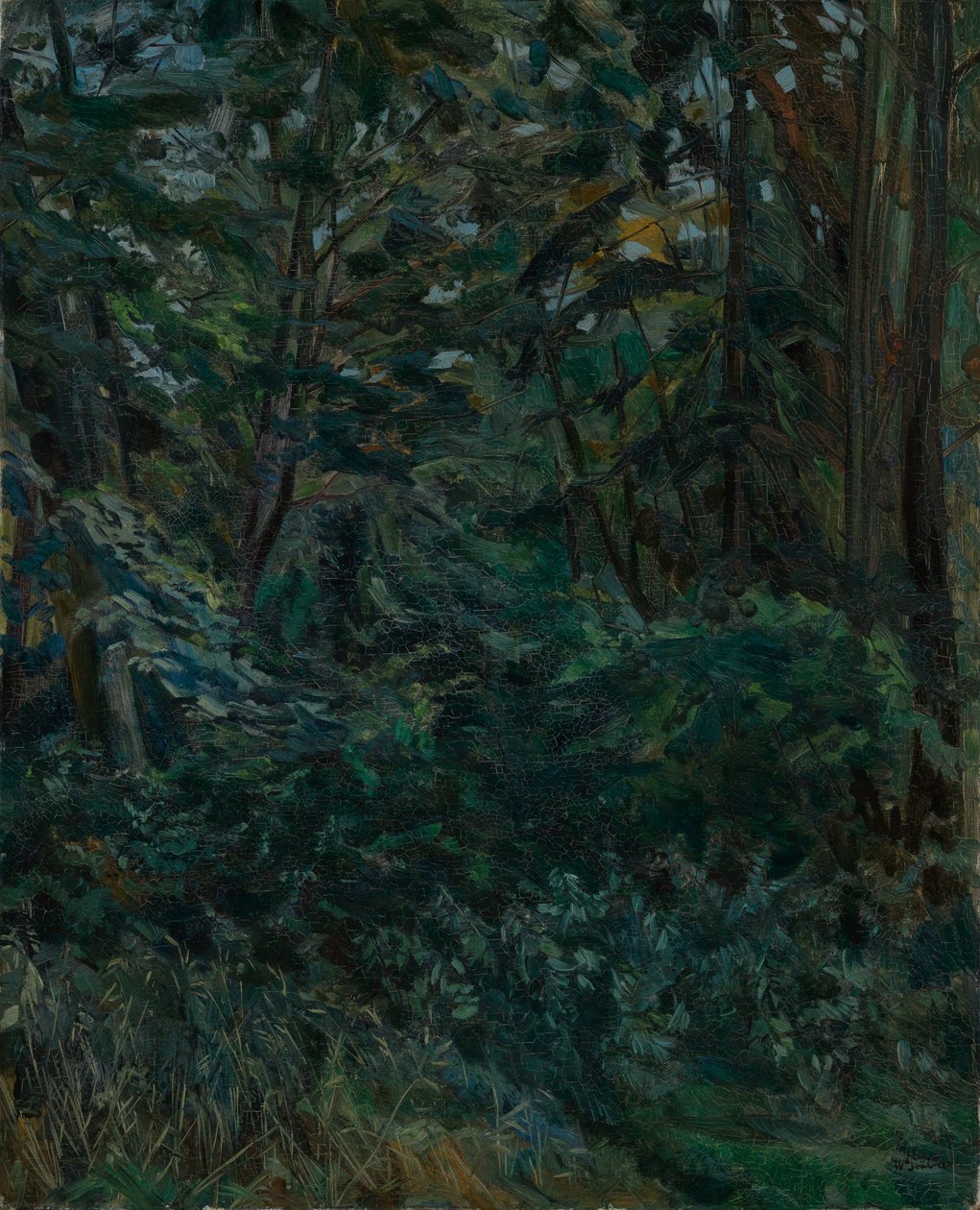 Metsän sisäosa tekijältä Wilhelm Trübner