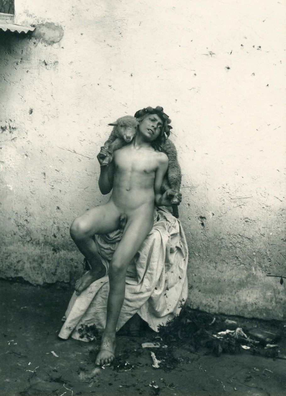 Nuori poika pitelee lammasta, Sisilia. noin 1899 (s/w-kuva). tekijältä Wilhelm von Gloeden