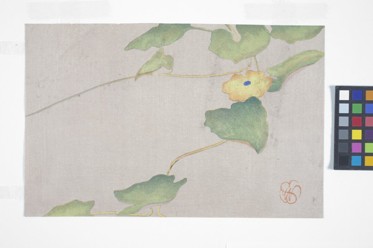 Flower Study, n. 1908 (värillinen puupainatus) tekijältä Wilhelmina Seegmiller