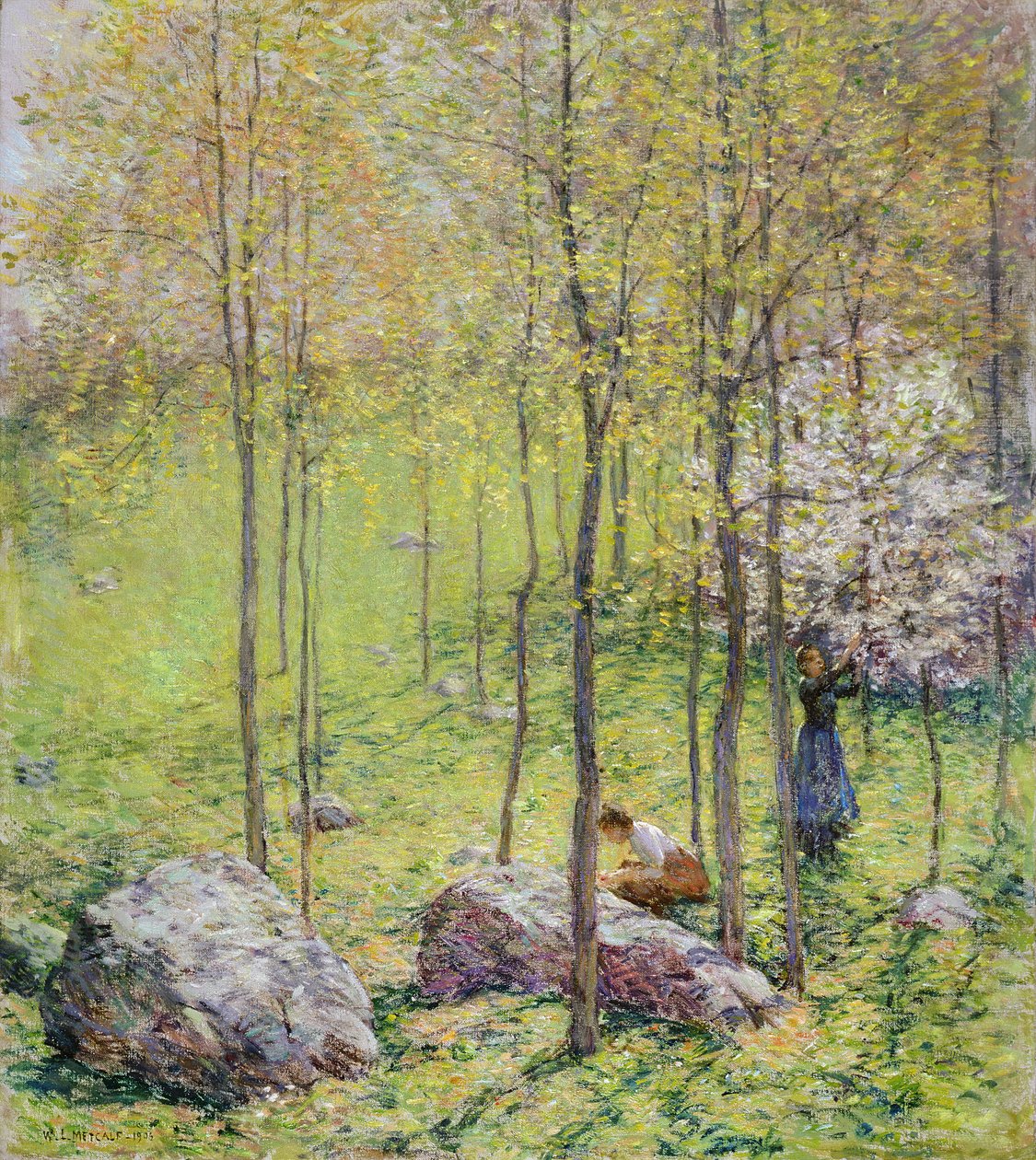 Dogwood Blossoms, 1906 tekijältä Willard Leroy Metcalf