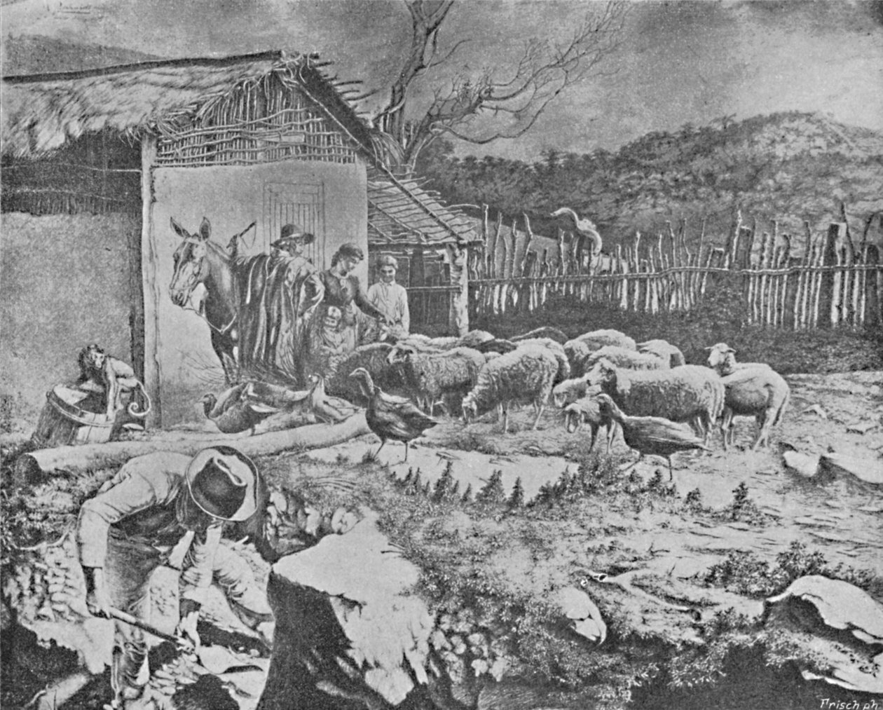 "Sivusto", 1895. tekijältä Wille Reichardt