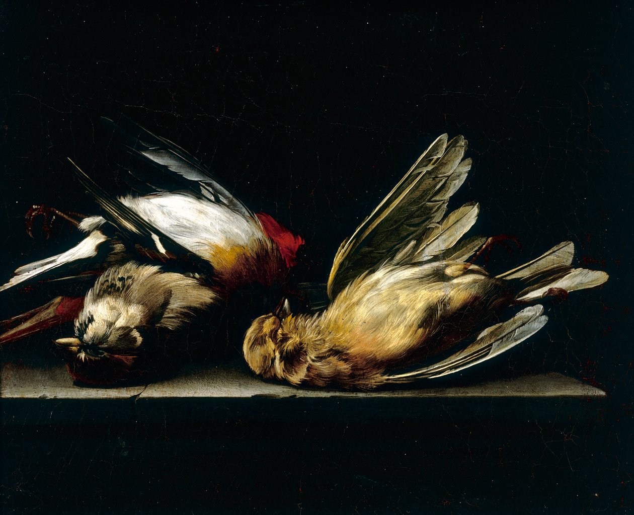 Pienet kuolleet linnut tekijältä Willem van Aelst