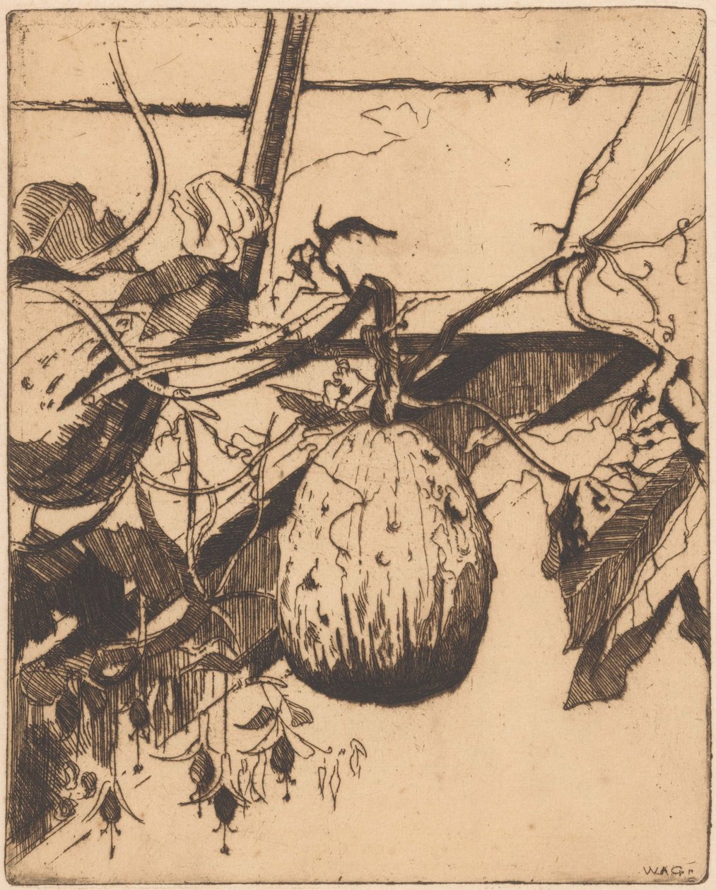 Kalebassen en fuchsia tekijältä Willem Adrianus Grondhout