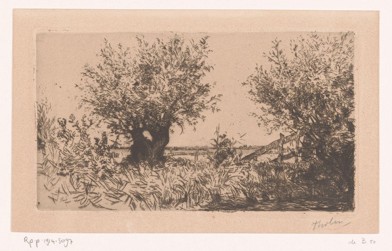Maisema niityllä, pollaripajuilla ja aidalla Willows (Kaag) (alkuperäinen nimi) tekijältä Willem Bastiaan Tholen (signed by artist)
