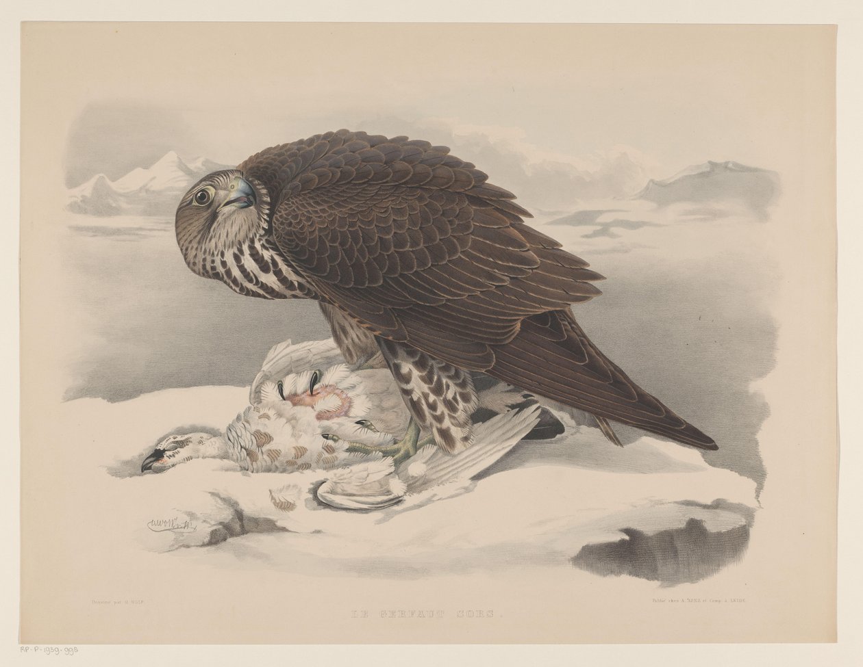 Gyrfalcon ja ptarmigan Le gerfaut sors (otsikko esineessä) tekijältä Willem Bastiaan van Wouw