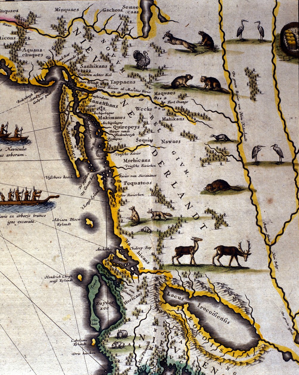 Wilhelm Blaeun (1571–1638) maantieteellinen kartta 1600-luvun Hollannin atlasista, joka näyttää Amerikan ja Kanadan alueita turkiseläinkansoja. Pohjoinen on alapuolella keskiaikaisen tavan mukaan. tekijältä Willem Blaeu