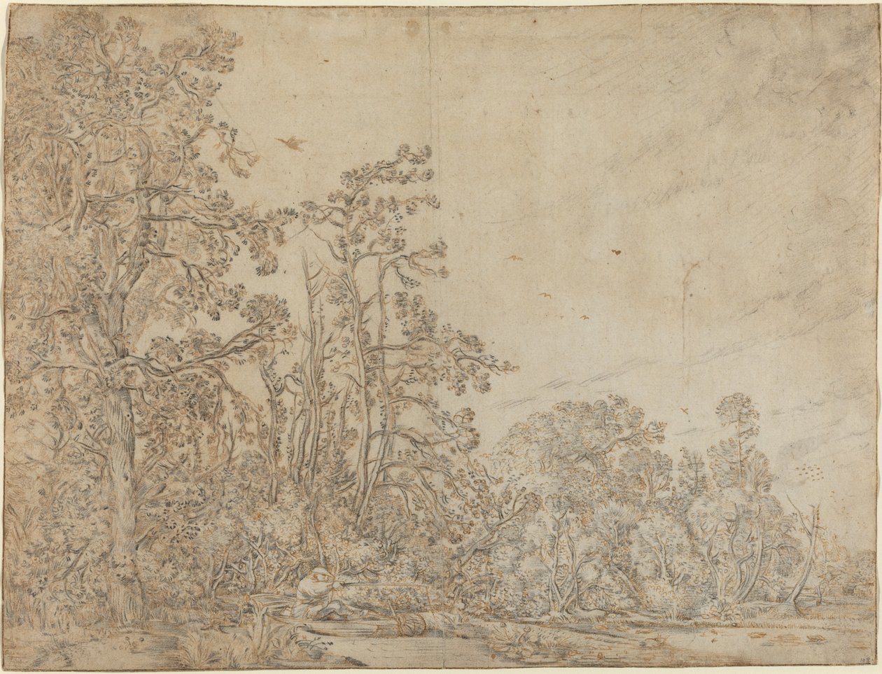 Woodland Pond ja kalastaja tekijältä Willem Buytewech