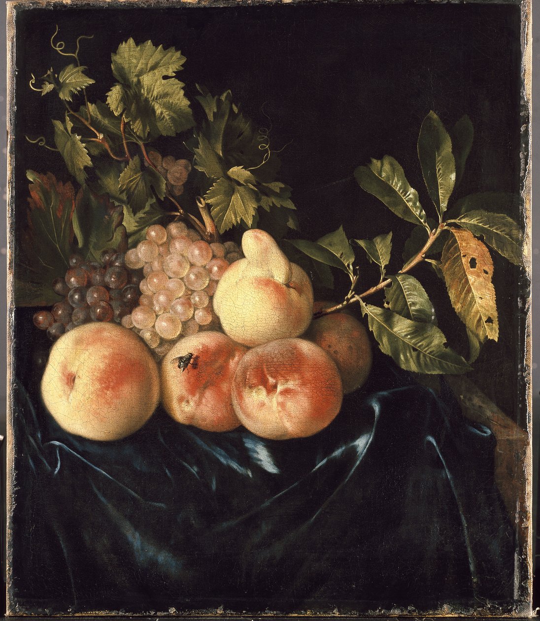Still Life persikoiden ja viinirypäleiden kanssa öljy kankaalle tekijältä Willem Frederik van Royen