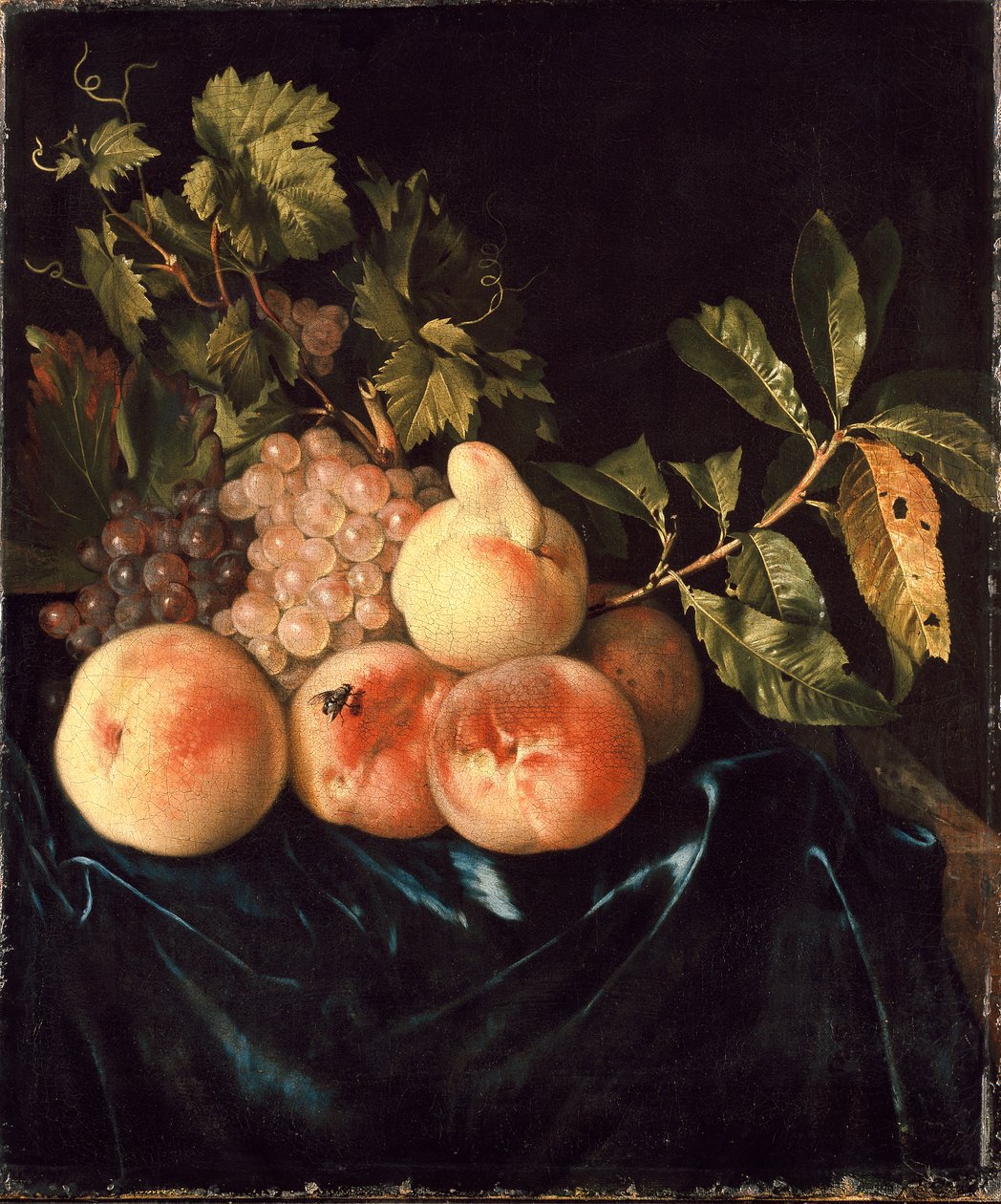 Persikoiden ja viinirypäleiden asetelma, 1705 tekijältä Willem Frederiksz van Royen