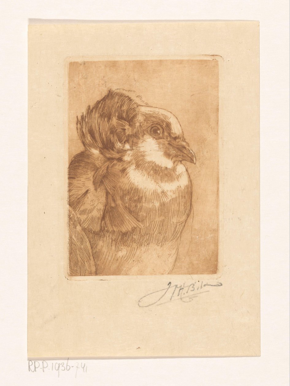 Kyyhkysen tutkimus tekijältä Willem Hendrik Bik (signed by artist)