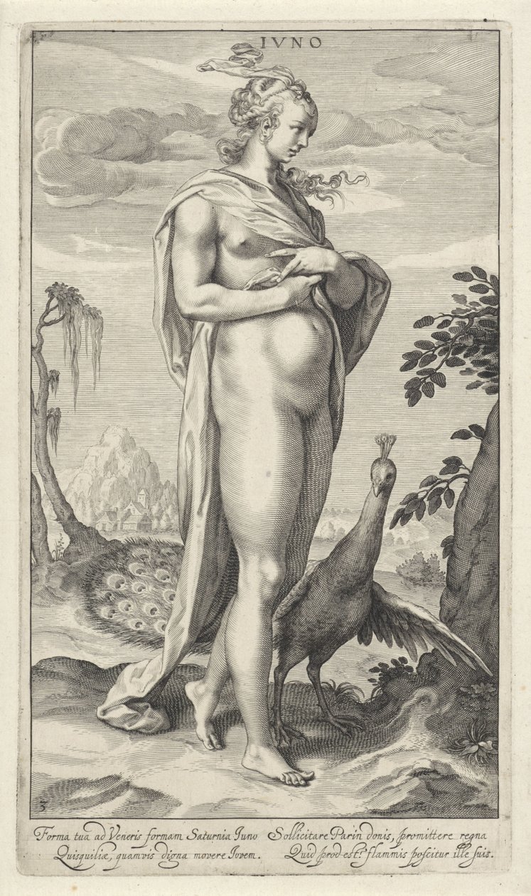 Juno riikinkukon kanssa Iuno (otsikko esineessä) Pariisin tuomio (sarjan nimi) tekijältä Willem Isaacsz. van Swanenburg